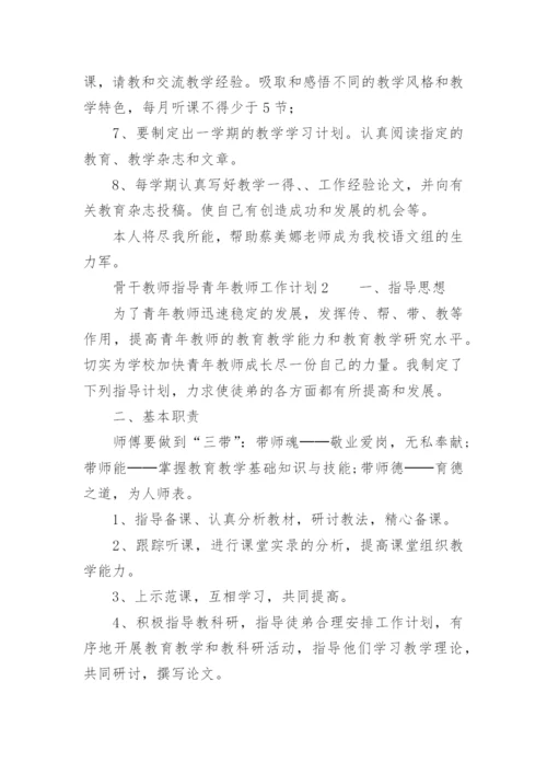 骨干教师指导青年教师工作计划.docx