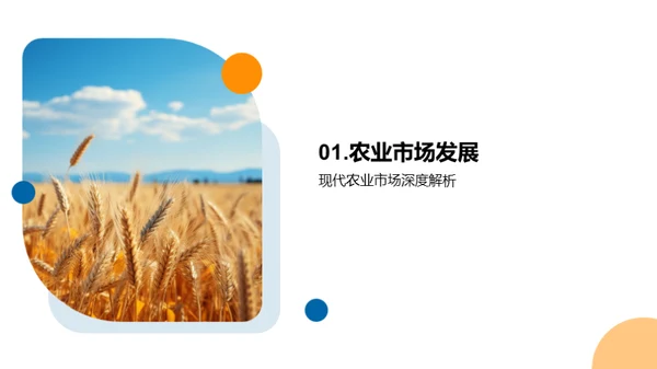 农业市场创新策略