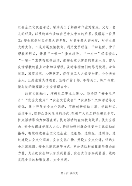 加强安全文化建设促进主体责任落实.docx