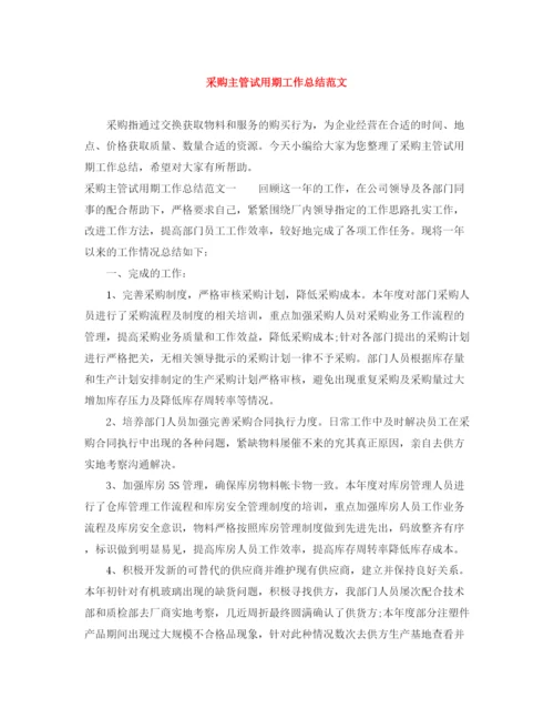 精编之采购主管试用期工作总结范文.docx