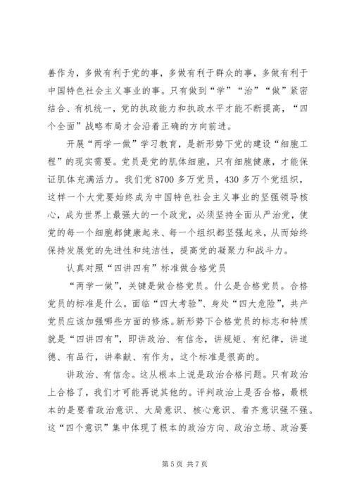 强化核心意识严守政治纪律做合格党员专题讲稿.docx