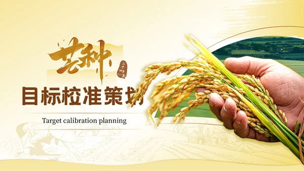 黄色芒种节气高级感PPT模板