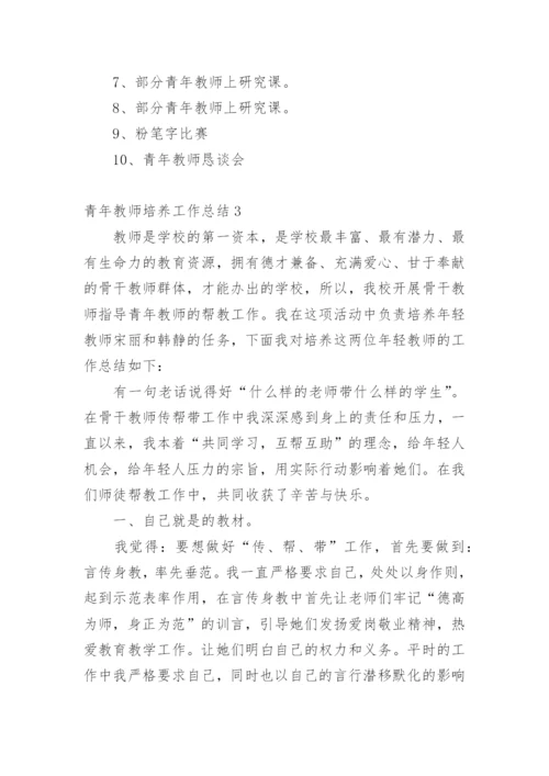 青年教师培养工作总结.docx
