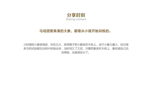 棕色简约风保险销售早会培训