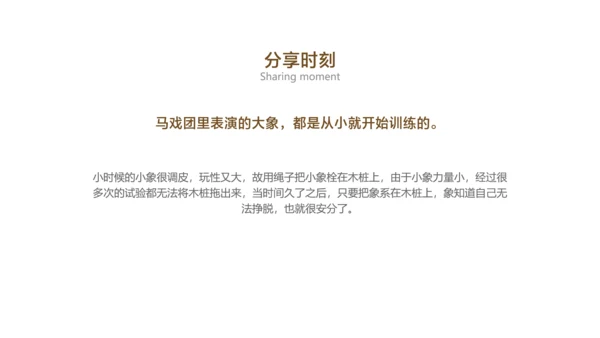 棕色简约风保险销售早会培训