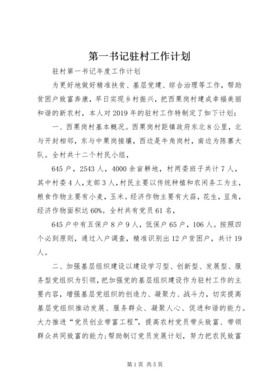 第一书记驻村工作计划 (3).docx