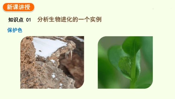 7.3.3生物进化的原因-八年级生物人教版下学期同步精品课件(共44张PPT)
