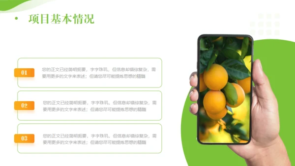 全面推进乡村振兴，田间经济通用PPT模板