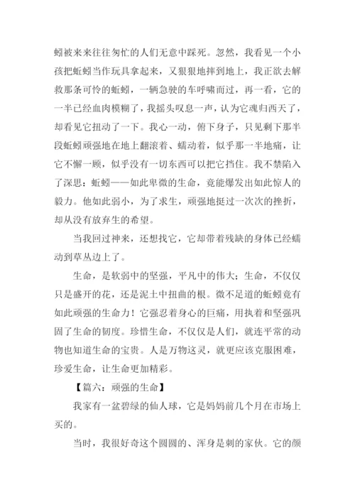 顽强的生命作文500字.docx