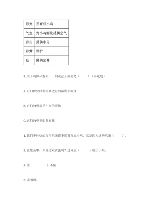 教科版小学科学三年级下册 期末测试卷附参考答案【达标题】.docx