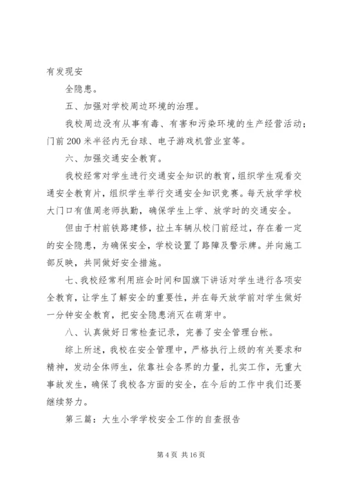 学校安全工作自查报告.docx