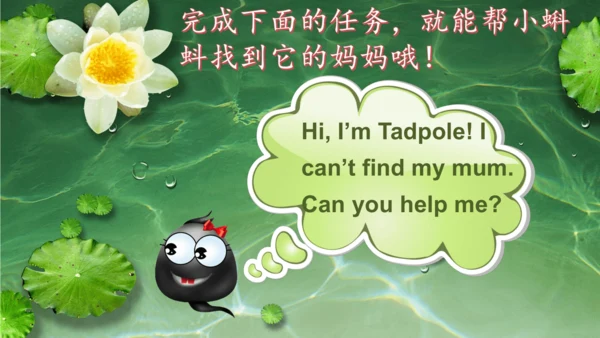 外研版三起三年级下册Review of Module 10课件（共24张PPT)