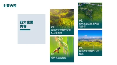 简约风目录介绍并列关系4项PPT图文页