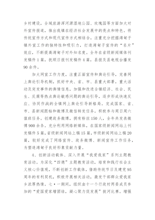 乡镇宣传委员工作总结.docx
