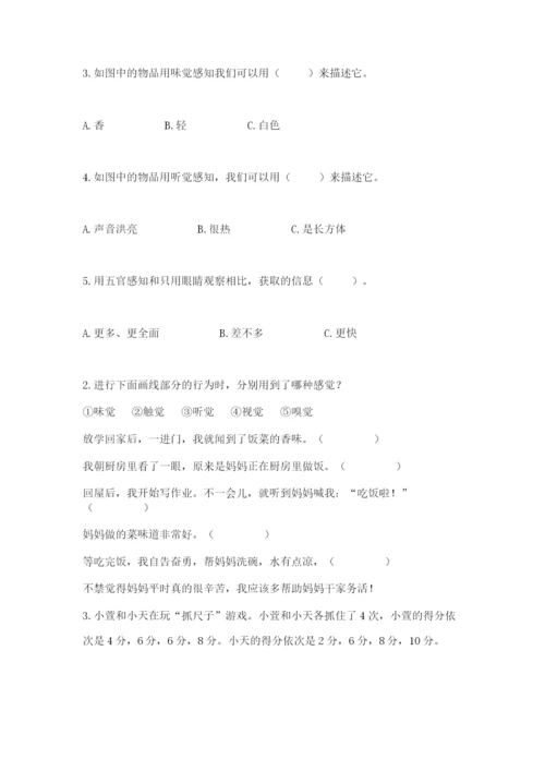 教科版小学科学二年级下册期末测试卷（综合卷）.docx