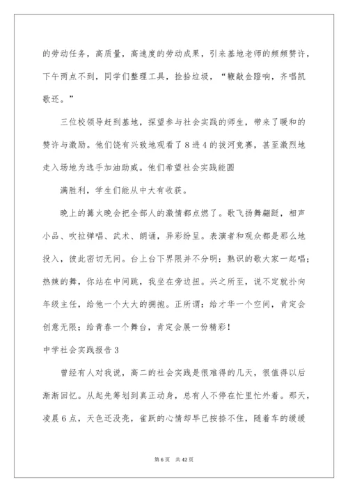 高中社会实践报告_19.docx