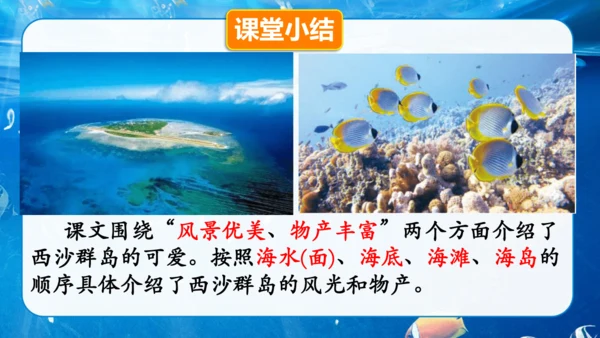 第18课《富饶的西沙群岛》课件