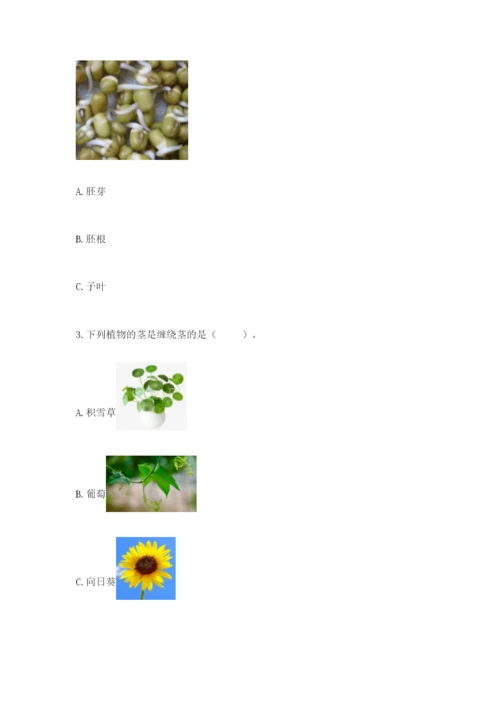 教科版科学四年级下册第一单元《植物的生长变化》测试卷带答案（实用）.docx