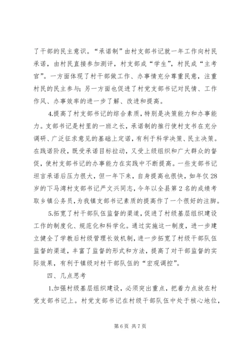 对行政村党支部书记“实事承诺制”的实践与思考 (5).docx