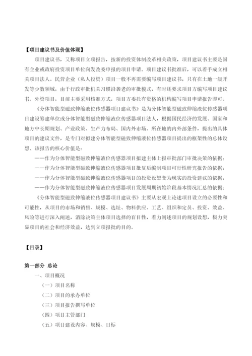 分体智能型磁致伸缩液位传感器项目建议书.docx