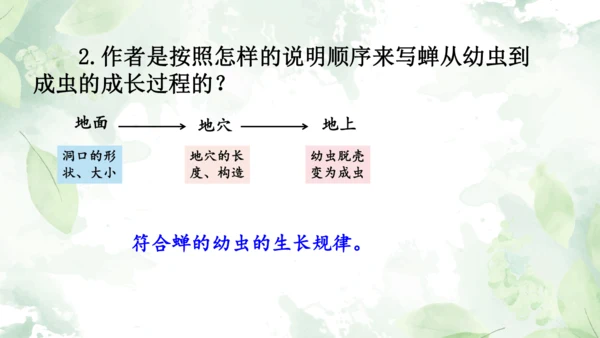 第21课《蝉》课件
