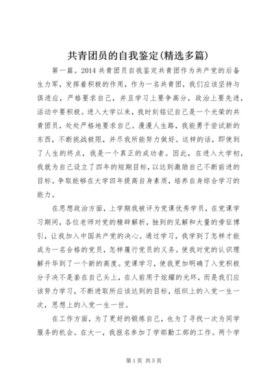 共青团员的自我鉴定(精选多篇).docx