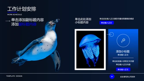 深蓝色自然生物教学通用PPT演示模板