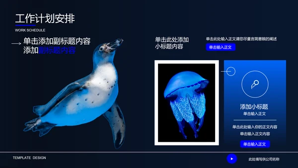 深蓝色自然生物教学通用PPT演示模板