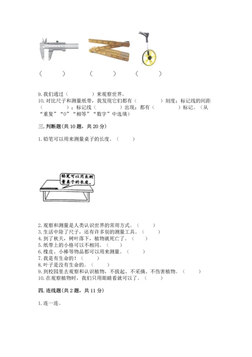 教科版一年级上册科学期末测试卷带精品答案.docx