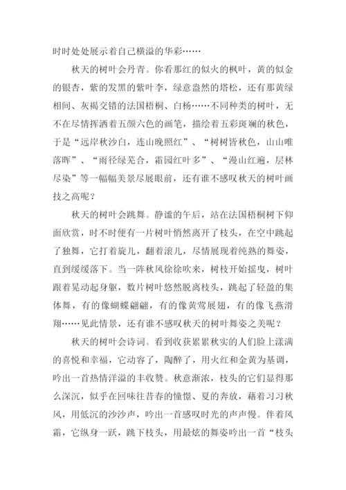 秋天的美景作文500字.docx