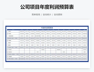 公司项目年度利润预算表