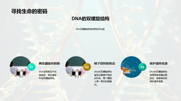 解读DNA的秘密