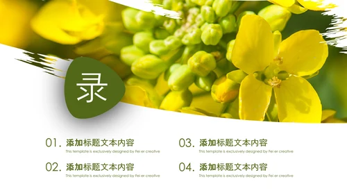 春天乡村旅游油菜花风景油菜花田PPT模板