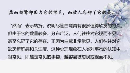 《1 白鹭》课件