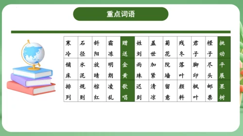 统编版2024三年级语文上册第二单元复习   课件