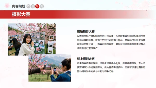 小镇桃花节策划方案通用PPT