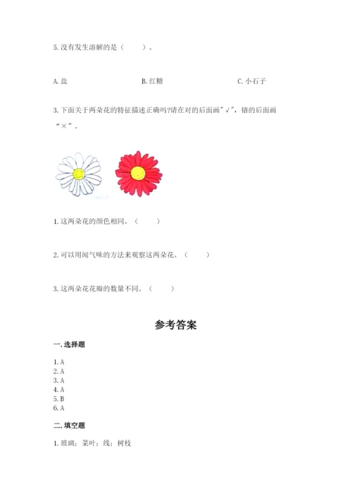 教科版一年级下册科学期末测试卷【重点】.docx