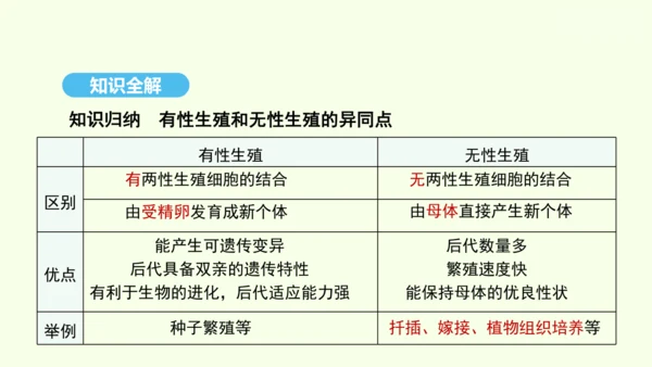 7.1.1植物的生殖课件-人教版生物八年级下册(共33张PPT)