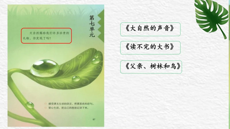 三年级语文上册第七单元整合课课件