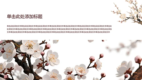 白色简约风梅花介绍PPT模板