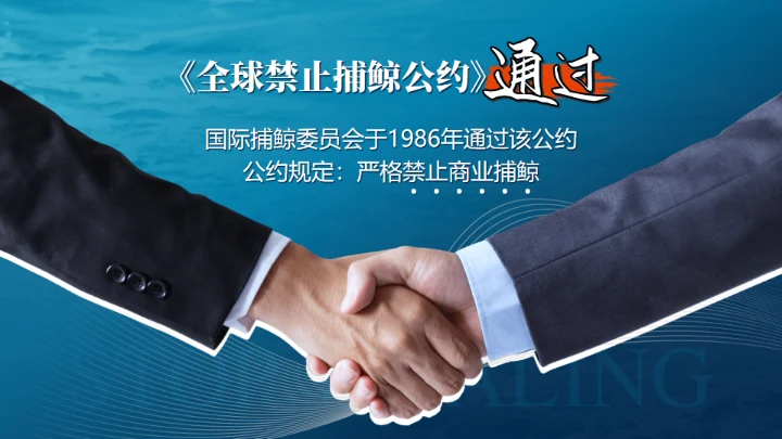 鲸落万物生鲸鱼知识讲座通用PPT模板