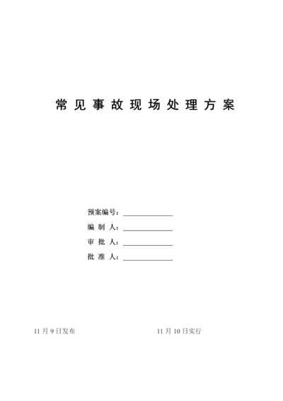 常见事故现场处理专题方案.docx
