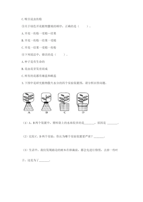 科学四年级下册第一单元《植物的生长变化》测试卷（典型题）.docx