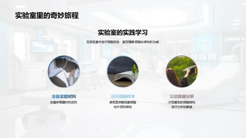 探索细胞之谜