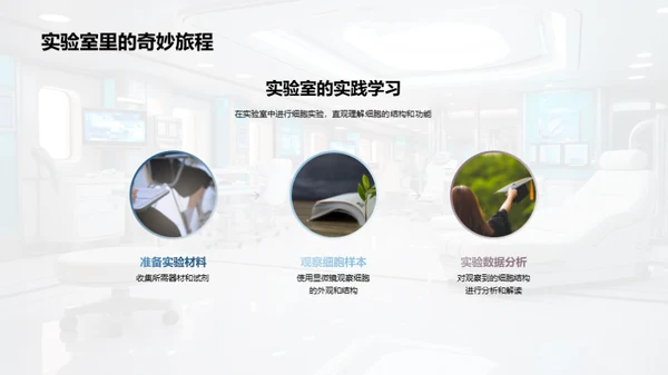 探索细胞之谜