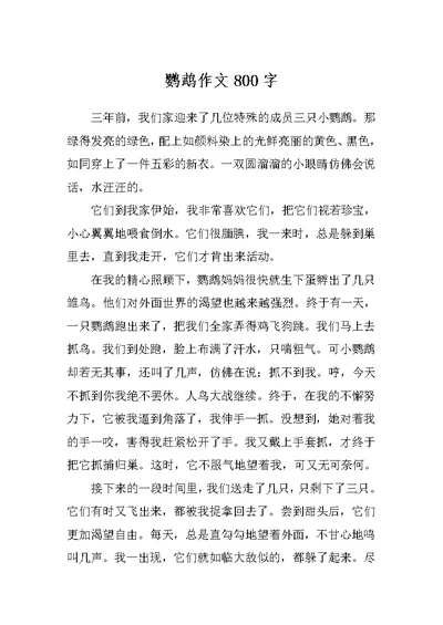鹦鹉作文800字