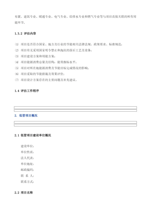低管项目节能评估报告模板.docx