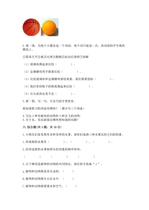 教科版一年级下册科学期末测试卷含完整答案【网校专用】.docx