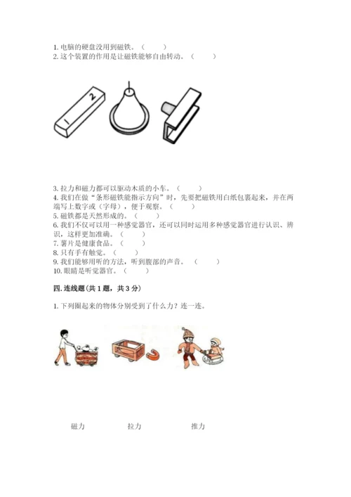 教科版小学科学二年级下册期末测试卷（基础题）.docx