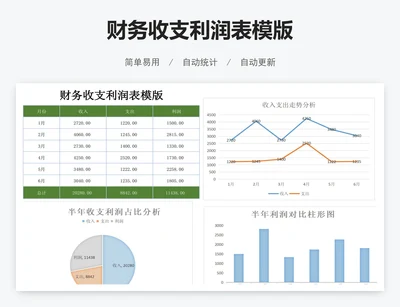 财务收支利润表模版